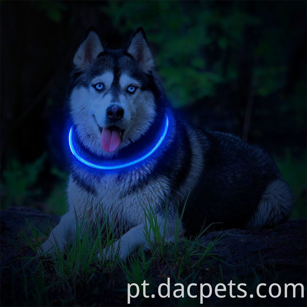 Colar Led recarregável USB USB Rechargeable Led Collar